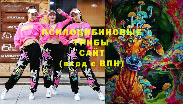 прущая мука Алзамай