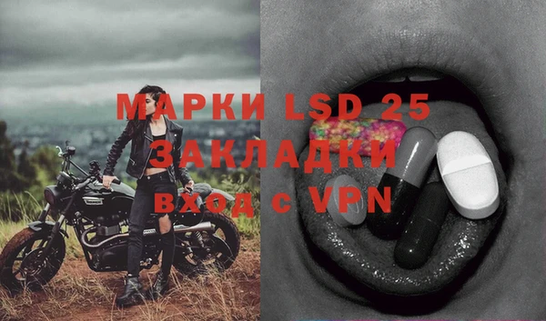 Альфа ПВП Няндома